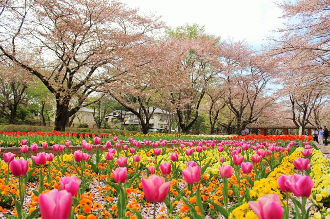 桶川市 城山公園