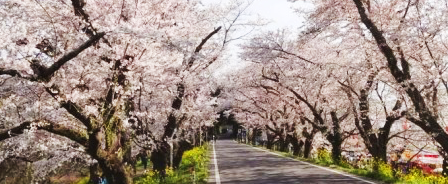 自然豊かな北本市